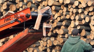 Zamestnanci štátneho lesného podniku Ulič si vydýchli, ich pracovné miesta zachovajú
